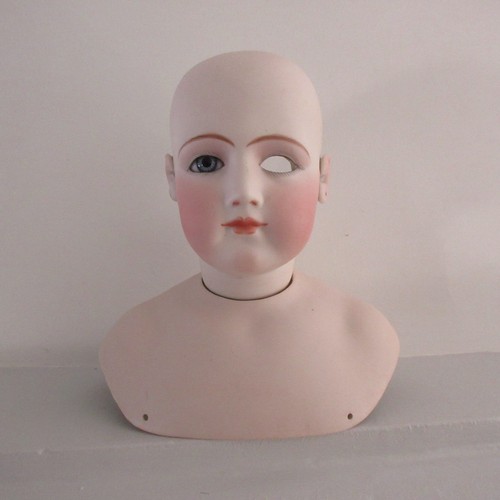Grande belle tête buste de - belle,